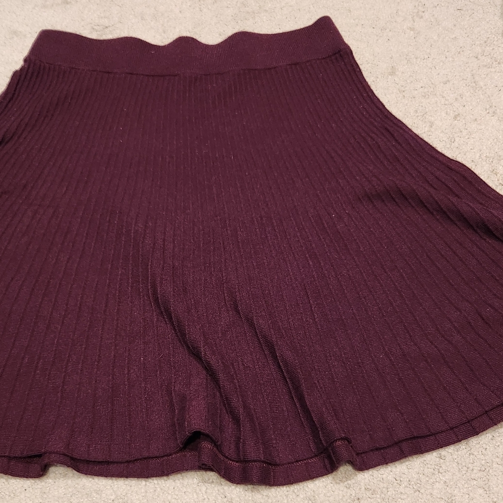 Ann Taylor Sweater Skirt